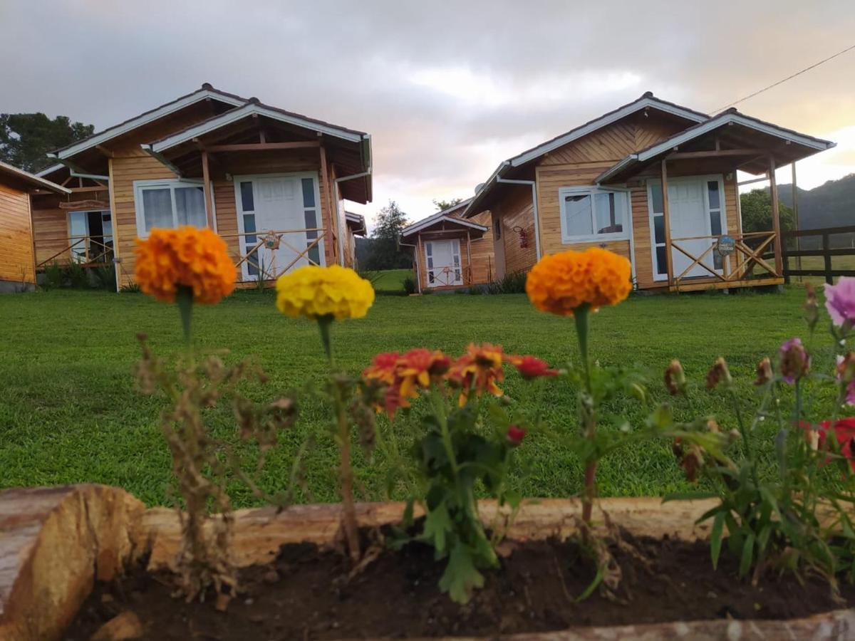 Pousada Flor Do Campestre Урубиси Екстериор снимка
